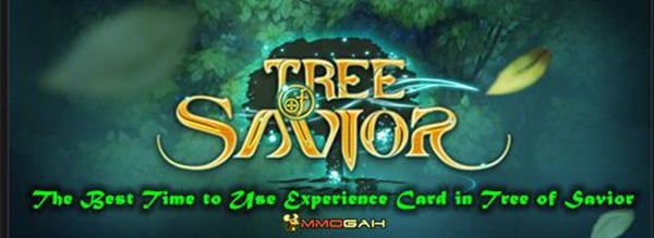 what-is-the-best-time-to-use-experience-card-in-tree-of-savior