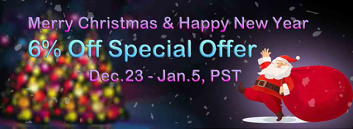 christmas-and-new-year-2019-2020-special-offer-large-6-off