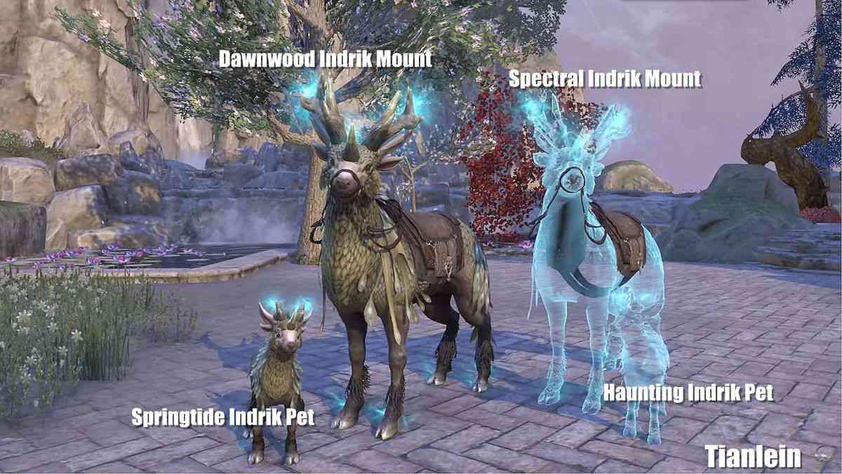 2023 first season Indrik Mounts and Pets in ESO
