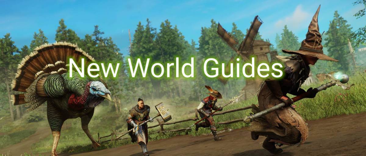 New World Guide: dos Builds a tudo o mais