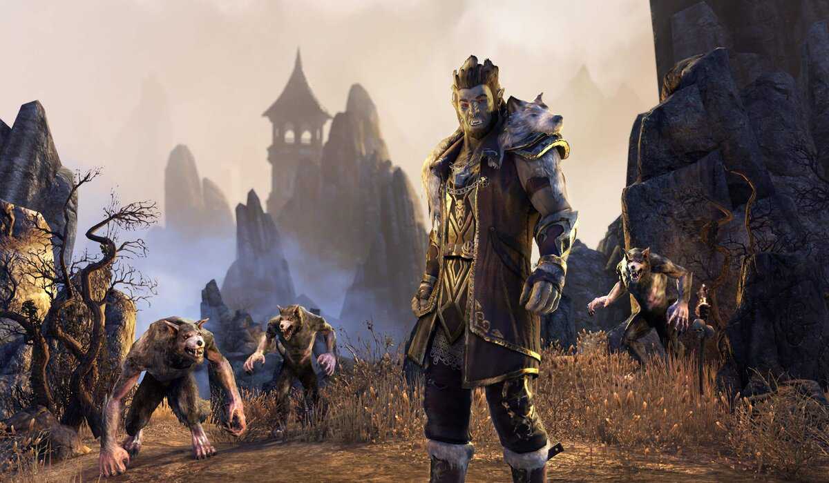 Orc in ESO