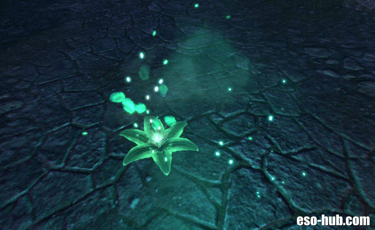 How to Obtain the Passion Dancer Blossom Pet in ESO