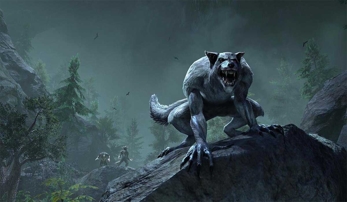 The Ultimate Guide to ESO Werewolf P2