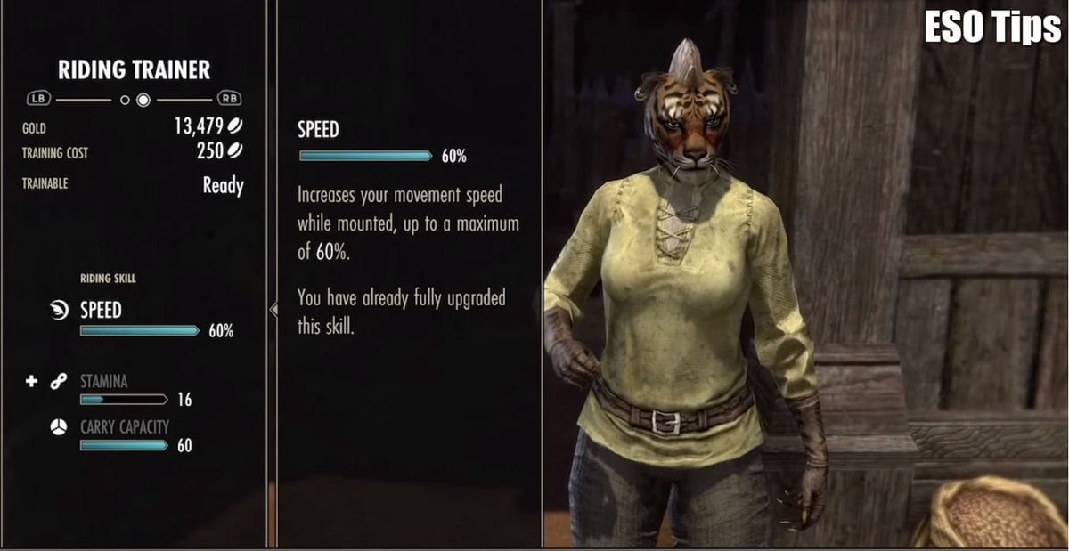 Top 5 Things to Do Daily in ESO