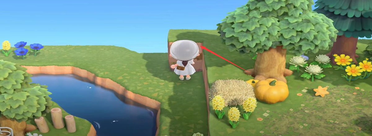 Animal Crossing Cliff