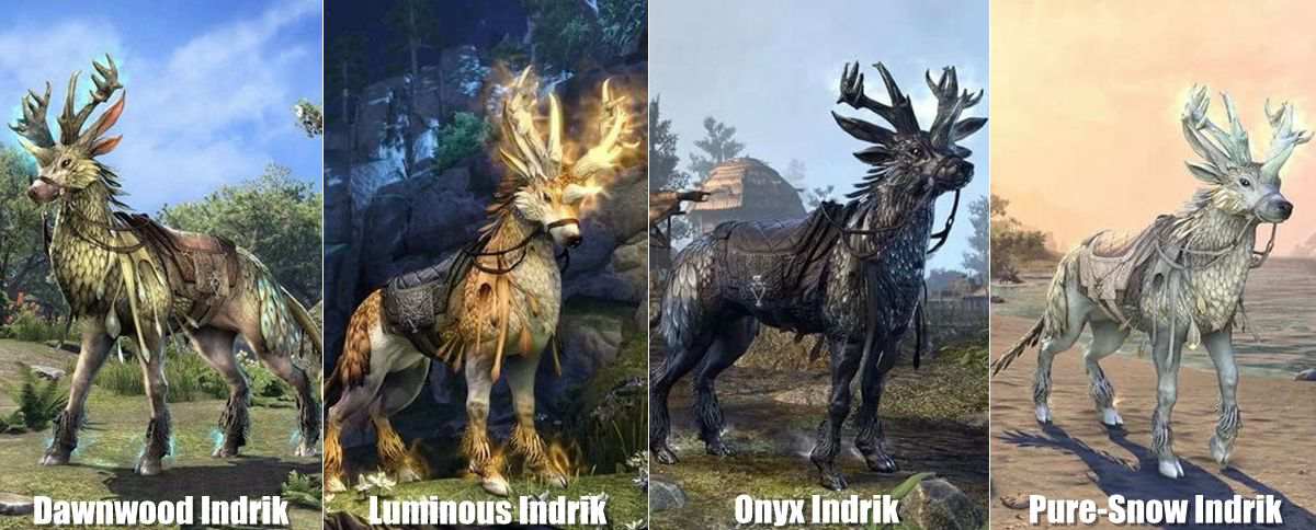 How to Get All the Indrik Mounts of ESO in 2022 - Indrik Mounts in 2019