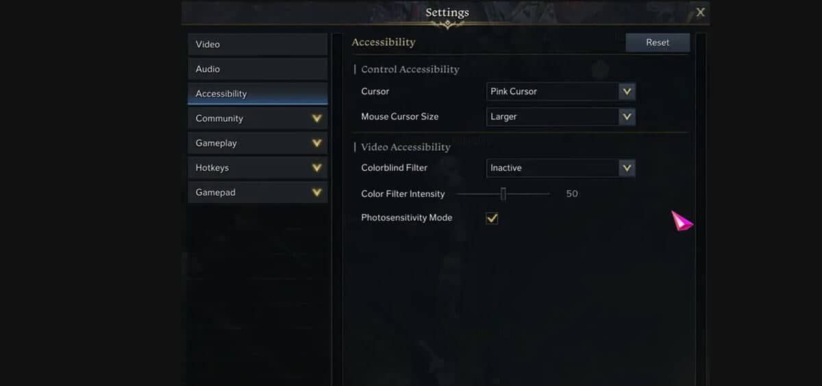 Lost Ark Accessibility Setting