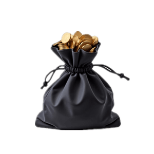 Minitype Gold Coin Bag (200 Gold) - Dark and Darker Items