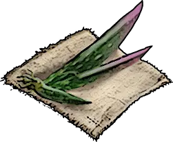 Aloe Seeds * 100 - Windrose Items