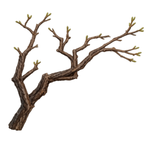 Corrupted Roots - Diablo 4 Items