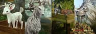 Travel in ArcheAge World- Land, Sea and Air