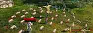 ArcheAge Gold Making Strategy Guide in ArcheAge World