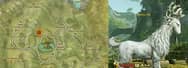 ArcheAge Battle Pets Guide One