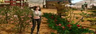 Planting High Performance-Price Ratio Trees in Archeage