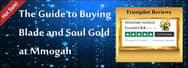How to Buy 100% Safe and Fast Blade and Soul Gold with Never Scam