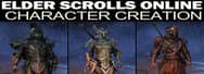 Guide to Build the Elder Scrolls Online Character