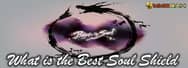 What is the Best Soul Shield Now