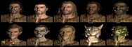 How to Choose a Race in the Elder Scrolls Online