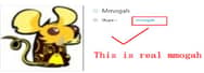 Important Notice: Distinguish MMOGAH Skype from Others
