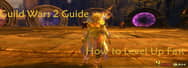 Guild Wars 2 Guide – How to Level Up Fast