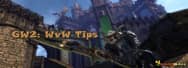 Guild Wars 2: World versus World Tips for Beginners