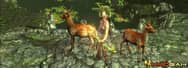 Do You Need to Buy Pets in Path of Exile