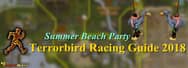 RuneScape 3: Terrorbird Racing Guide 2018