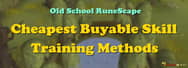 OSRS: The Cheapest Buyable Skill Training Methods 