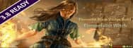 Path of Exile 3.8 Blight: Elemental Blade Vortex Build – Elementalist Witch