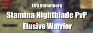 ESO Builds: Stamina Nightblade PvP - Elusive Warrior - Stonethorn