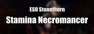 ESO Builds: Best Stamina Necromancer Build - Stonethorn