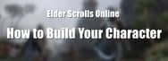 How to Make ESO Builds