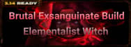 PoE Builds 3.14: Brutal Exsanguinate Build - Elementalist Witch