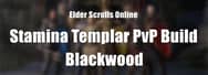 ESO Builds: Stamina Templar PvP Build – Blackwood
