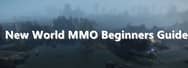 New World MMO Beginners Guide