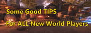Some Good TIPS For ALL New World Players