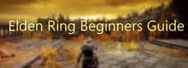 Elden Ring Beginners Guide