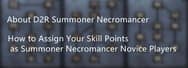 About D2R Summoner Necromancer and How to Assign Your Skill Points as Summoner Necromancer Novice Players