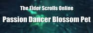 How to Obtain the Passion Dancer Blossom Pet in ESO