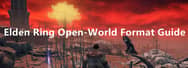 Elden Ring Open-World Format Guide