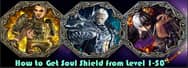 How to Get Soul Shield from Level 1-50 in Blade and Soul