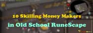 10 Skilling Money Makers in OSRS