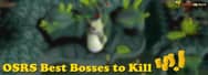 Best Bosses You Should Be Killing in OSRS