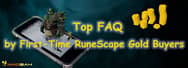 Top FAQ by First-Time RuneScape Gold Buyers