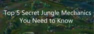 Top 5 Secret Jungle Tips You Need to Know