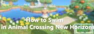 How to Swim in Animal Crossing New Horizons