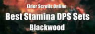 Best Stamina DPS Sets for ESO – Blackwood 2021