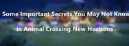 Some Important Secrets You May Not Know in Animal Crossing New Horizons