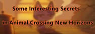 Some Interesting Secrets in Animal Crossing New Horizons