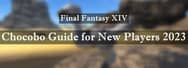 Final Fantasy XIV Chocobo Guide for New Players 2023